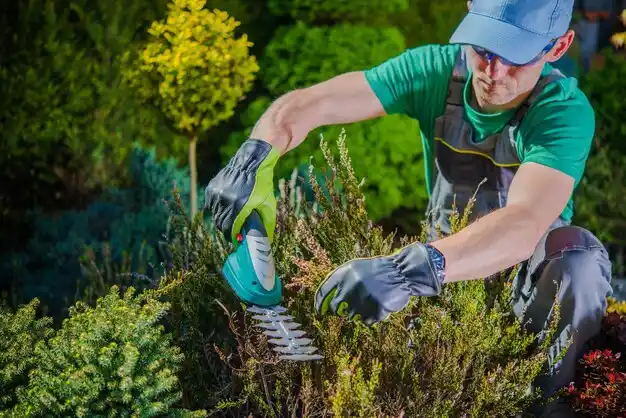 landscaping services Noyack